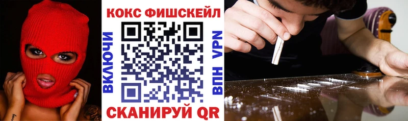 где купить наркоту  KRAKEN ONION  Кокаин FishScale  Старица 