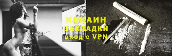 индика Богданович
