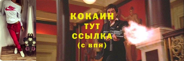 сатива Богородск