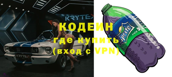 индика Богданович