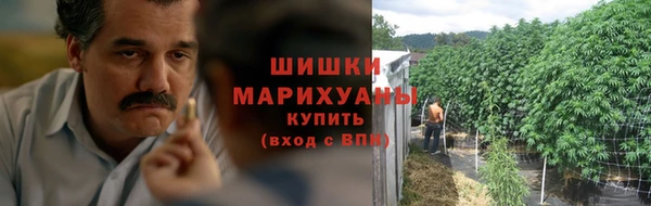 стаф Богородицк