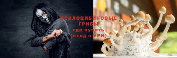 стаф Богородицк