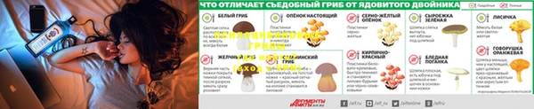 прущая мука Беломорск