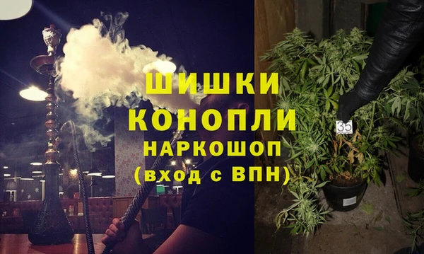 индика Богданович