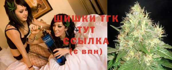 стаф Богородицк