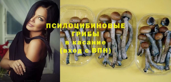 дживик Белоозёрский
