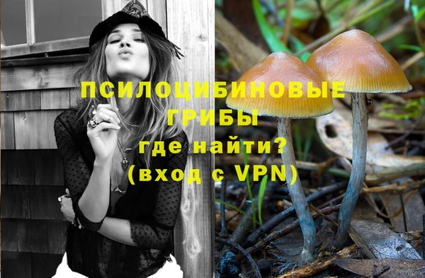 хмурый Белокуриха