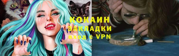 стаф Богородицк