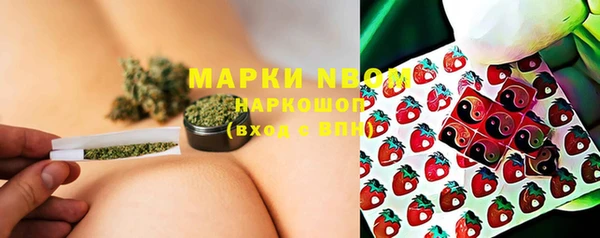 индика Богданович