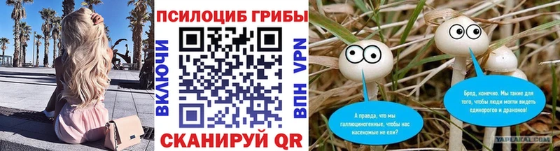 где продают наркотики Старица это телеграм Псилоцибиновые грибы прущие грибы